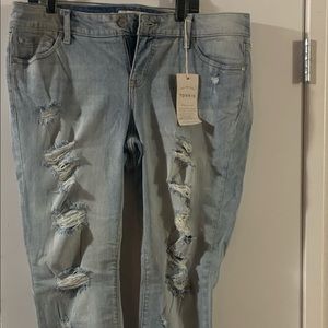 Torrid jeans